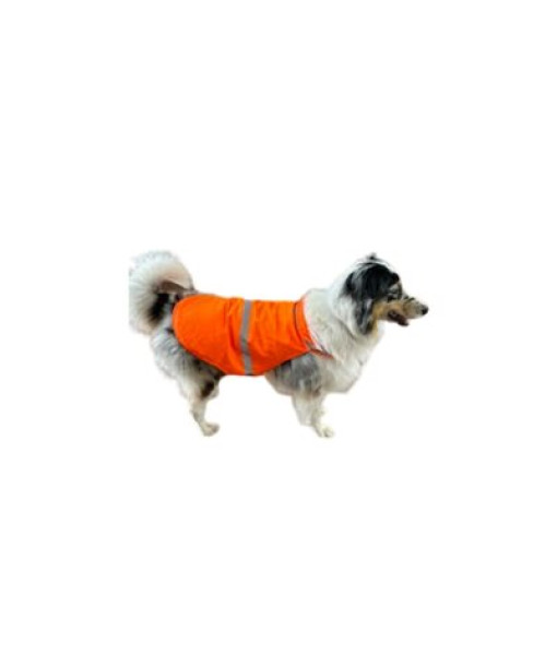 EDC DOSSARD DE CHASSE POUR CHIEN MEDIUM