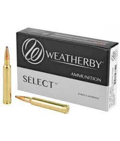 300 WBY MAG 180GR INTERLOCK