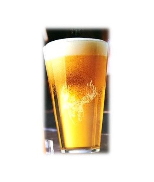 EDC Ensemble 4 Verres À Biere Orignal 16oz