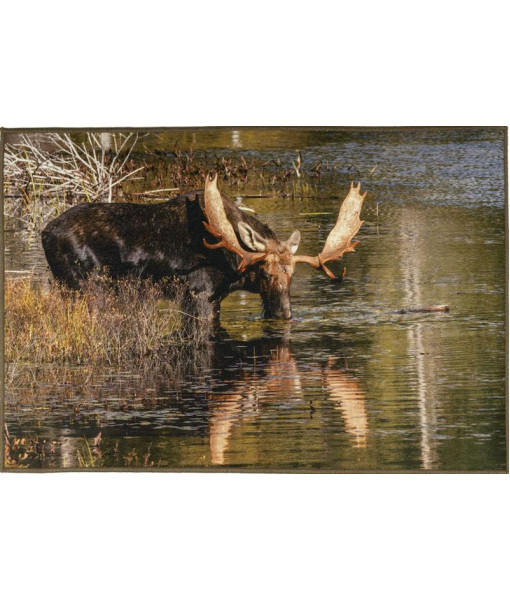 GREENTRAIL TAPIS WILDLIFE ORIGNAL 5X7 FT