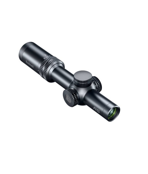 Bushnell R5 1-6s24mm Illuminé DD2-QA Exo Barrier